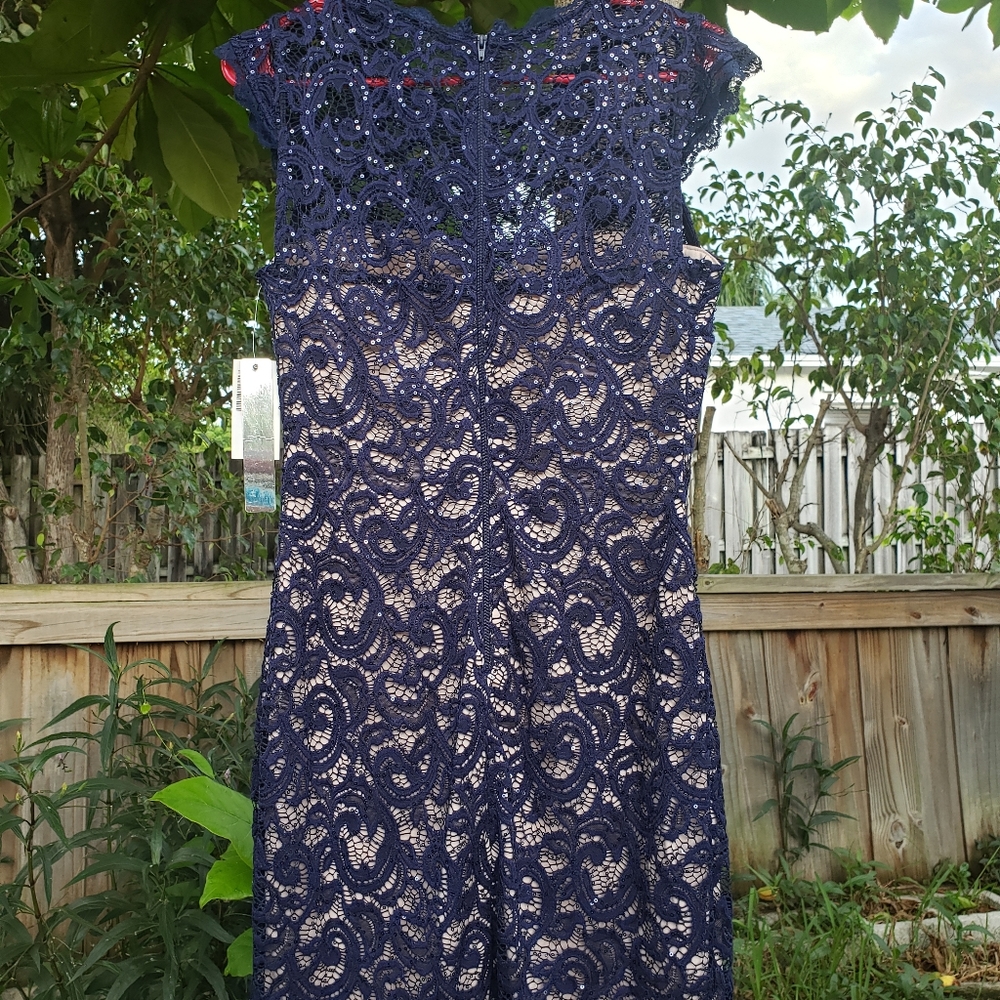 Blue lace sequin dress